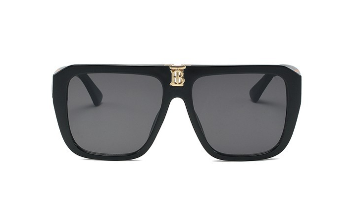 Model 4381 Sunglasses 4