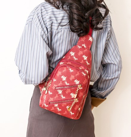 Retro College Style Backpack Red