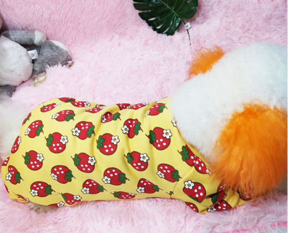 Pet Clothing Image 3