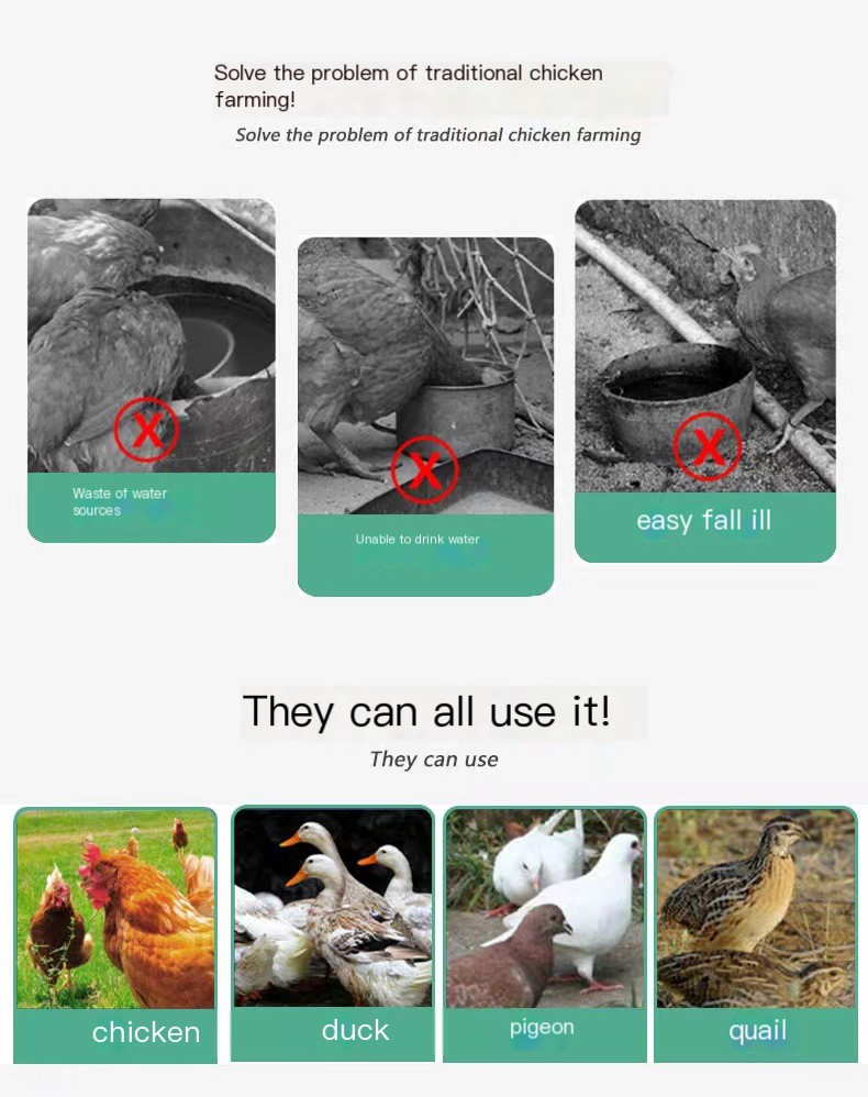 Poultry Drinking Solution