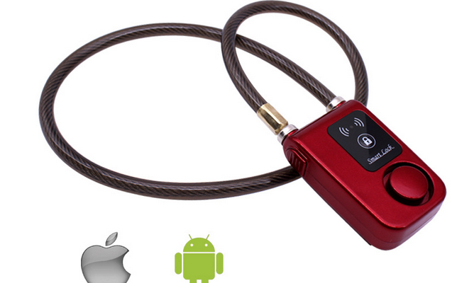 Anti-theft Lock Image 1