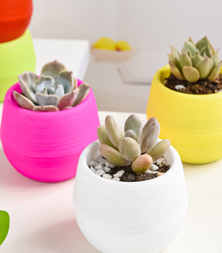 Mini Plant Pot 4