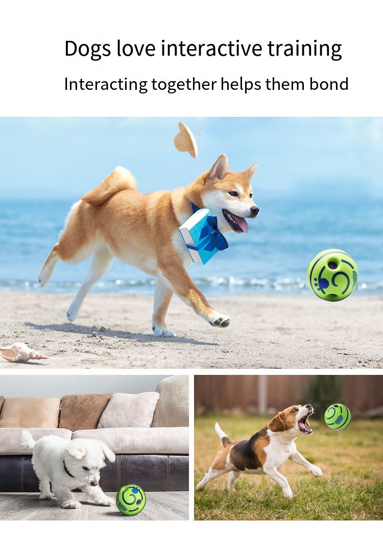 Pet Toy Image 7