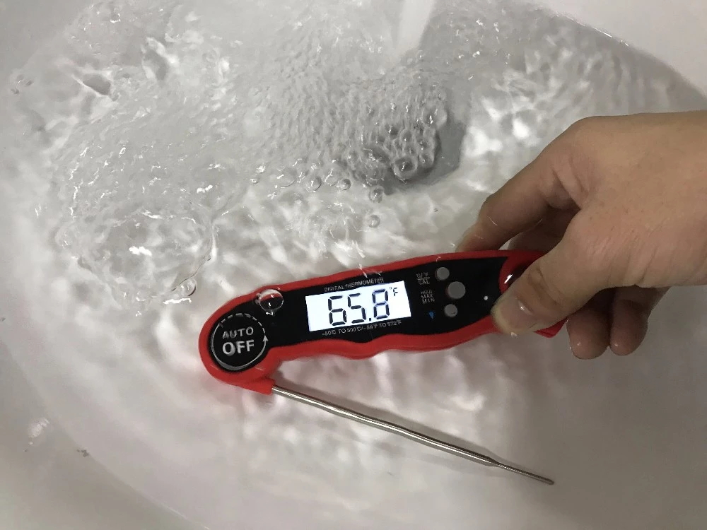 Digital Thermometer Image 1