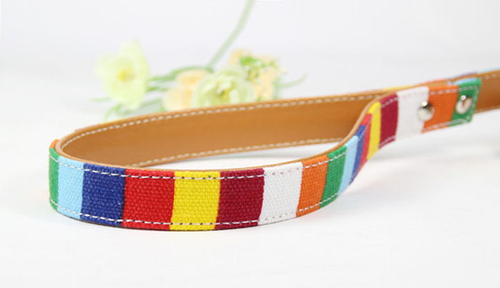 Colorful Pet Leash in Use