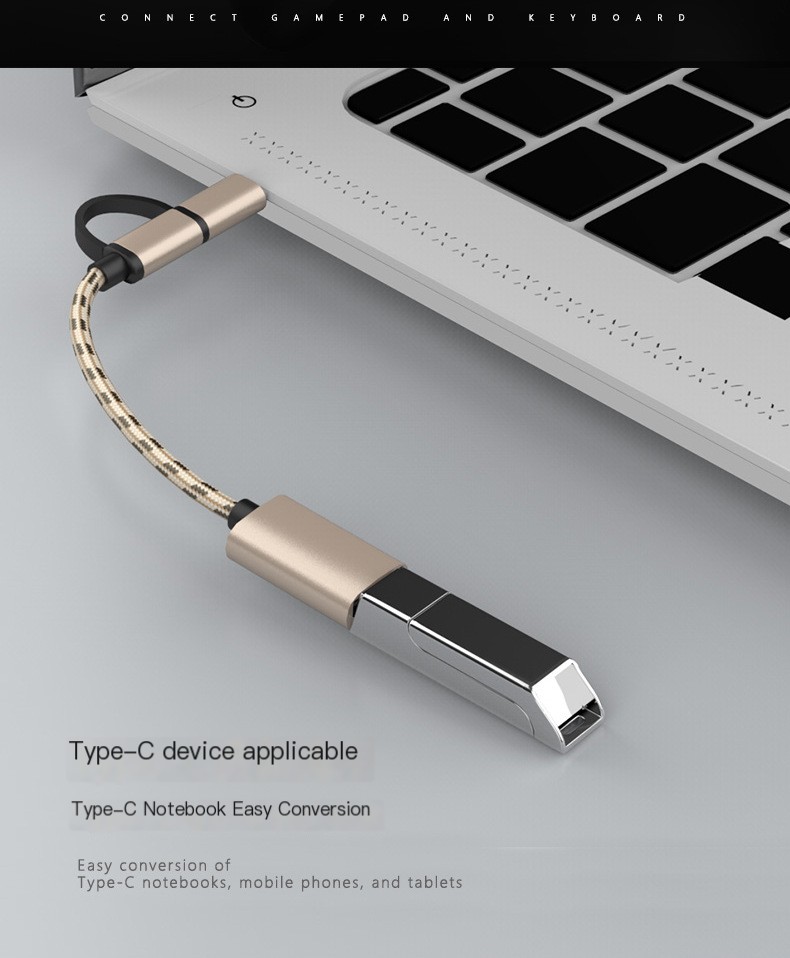 Type-C OTG Converter Image 9