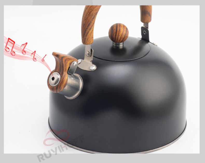 Stainless Steel Kettle 3