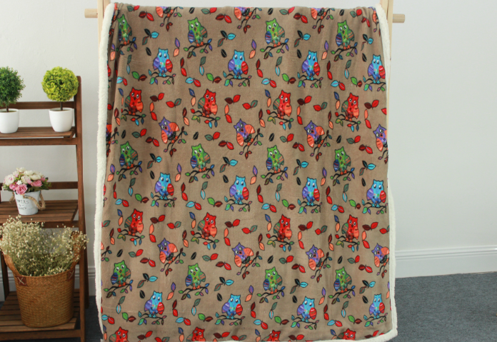 Coral Fleece Blanket
