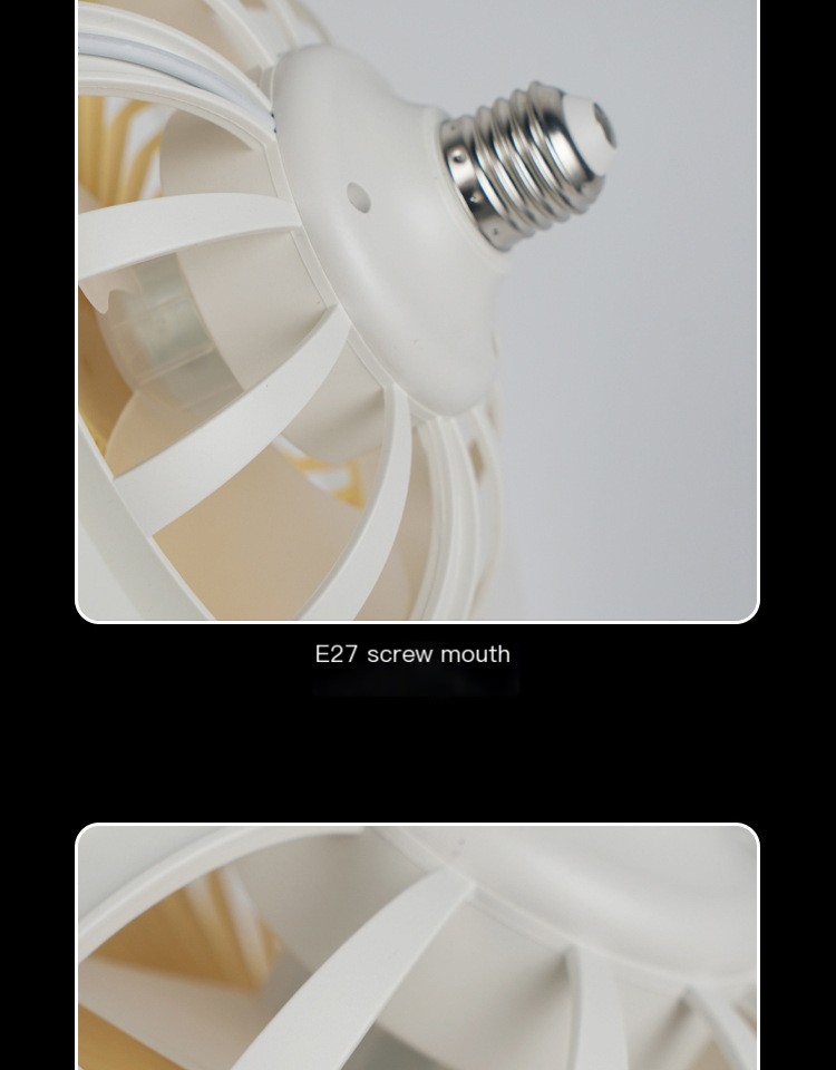 Ceiling Fan Light Image 9