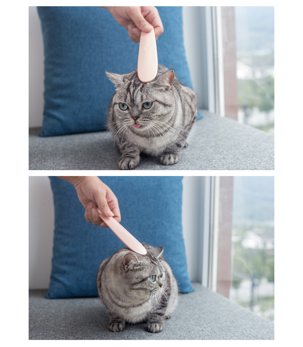 Cat Tongue Comb Display