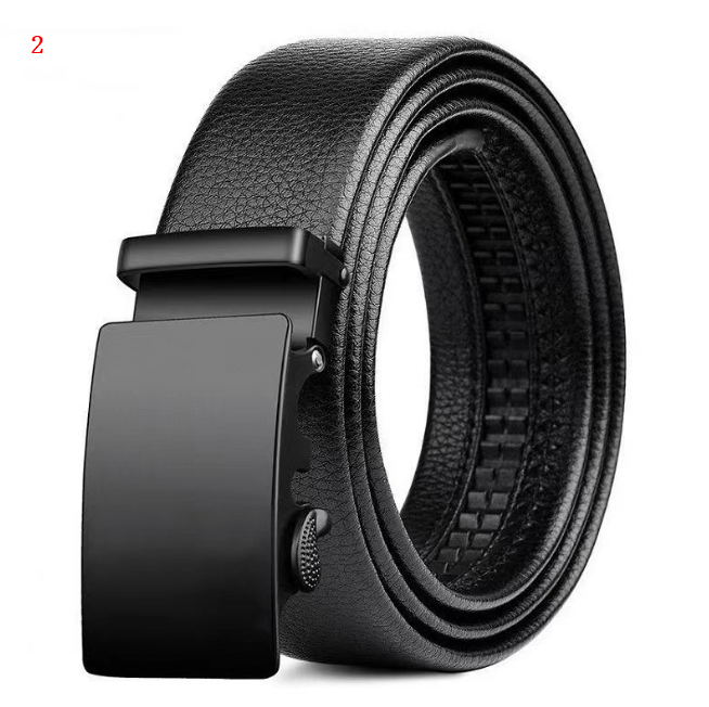 Belt Image 2