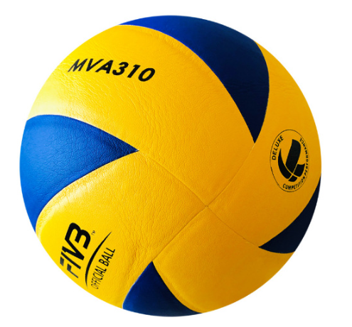 Volleyball Image 5