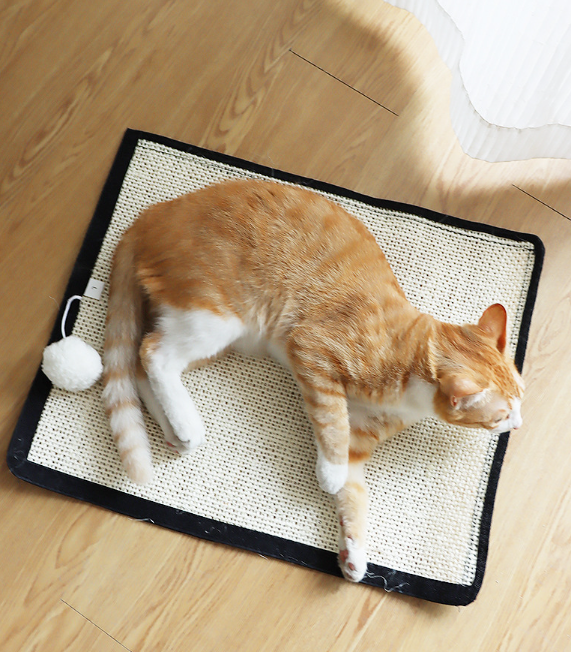 Sisal Cat Mat 5