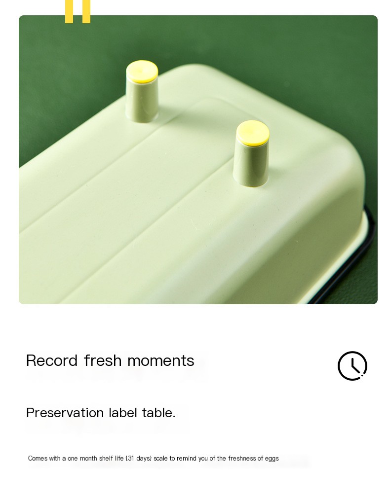 Egg box_09.jpg