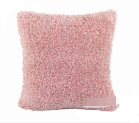 Cushion Cover Image 2