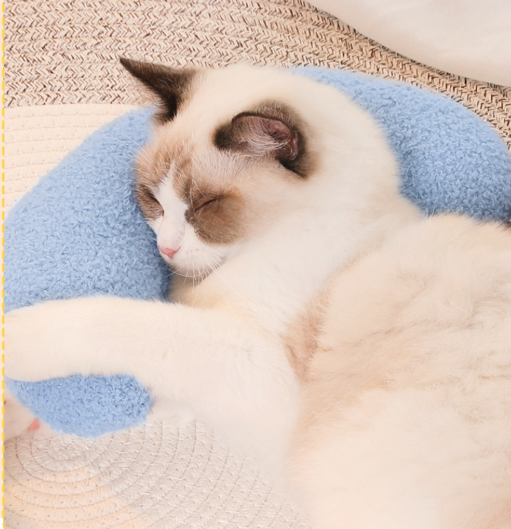Pet Pillow in Yellow