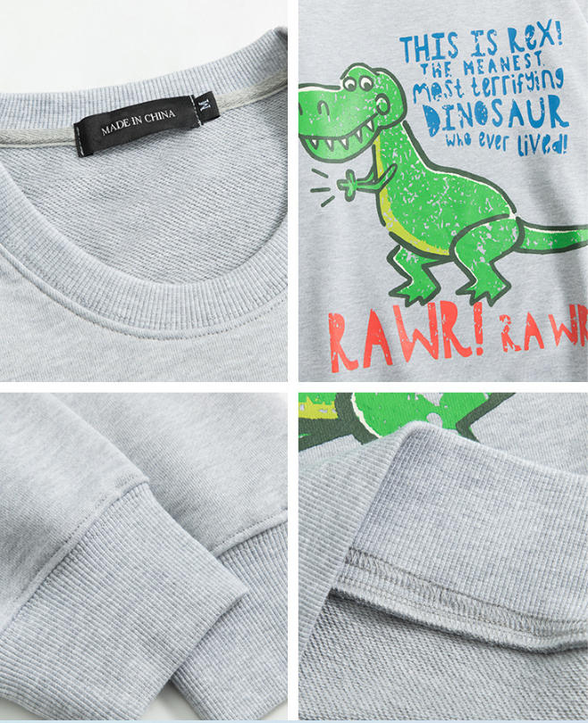 Dinosaur Sweater Back View