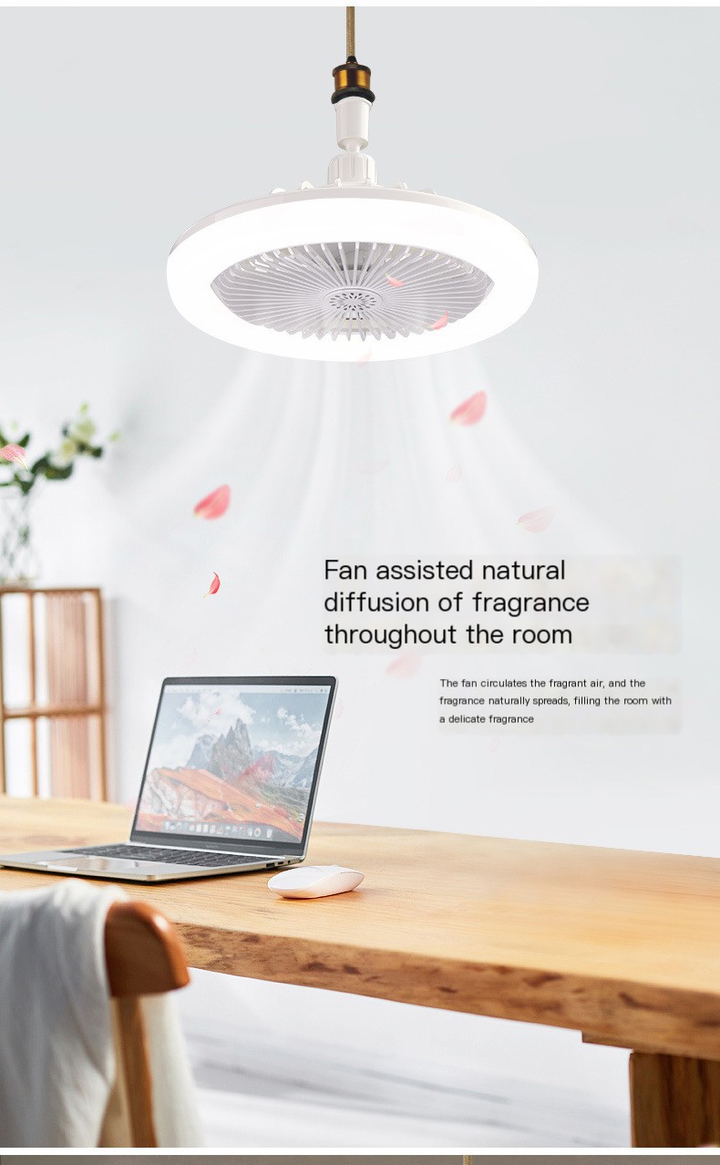 Fan Lamp 4