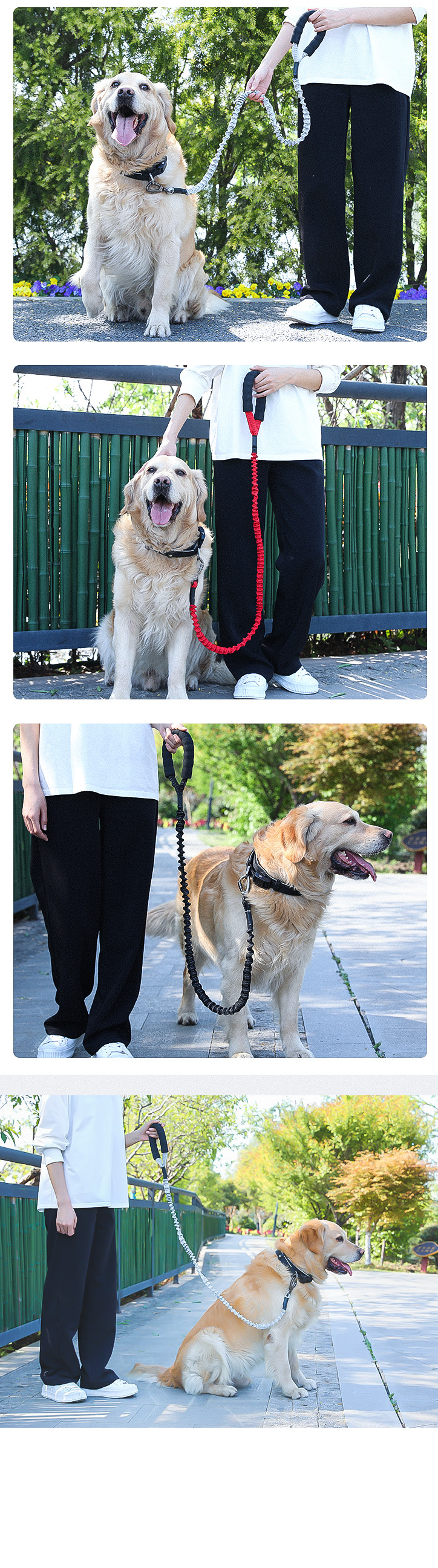 Dog Leash - Gray