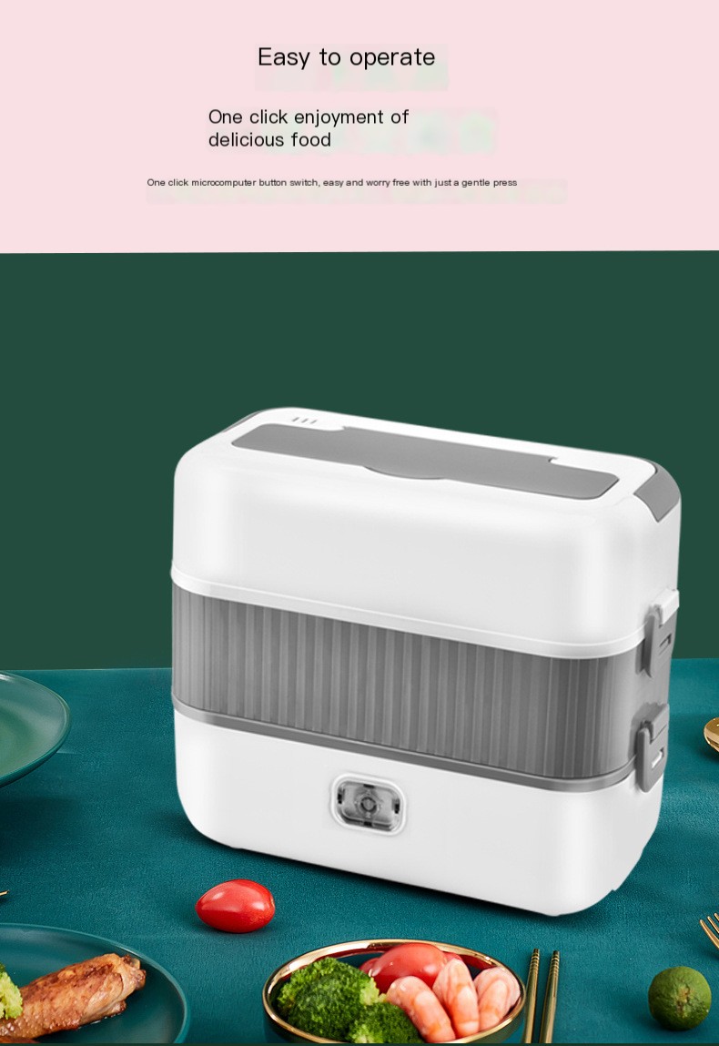 Electric Lunch Box Variations