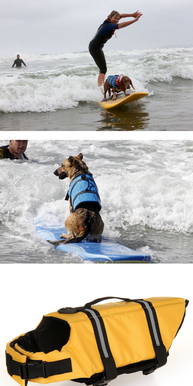 Reflective Pet Life Jacket