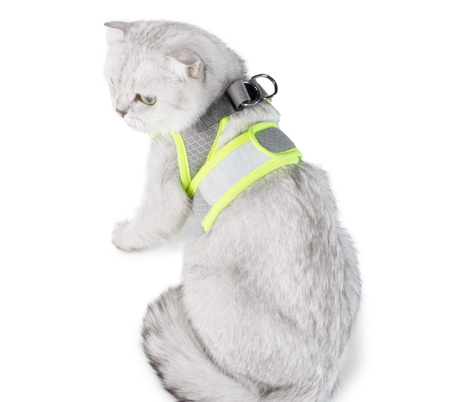 Vest in Light Gray