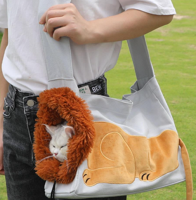 Pet Outing Backpack Bag
