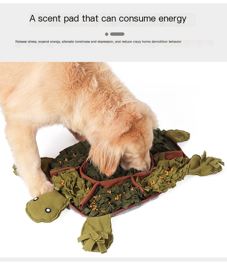 Pet Training Tool