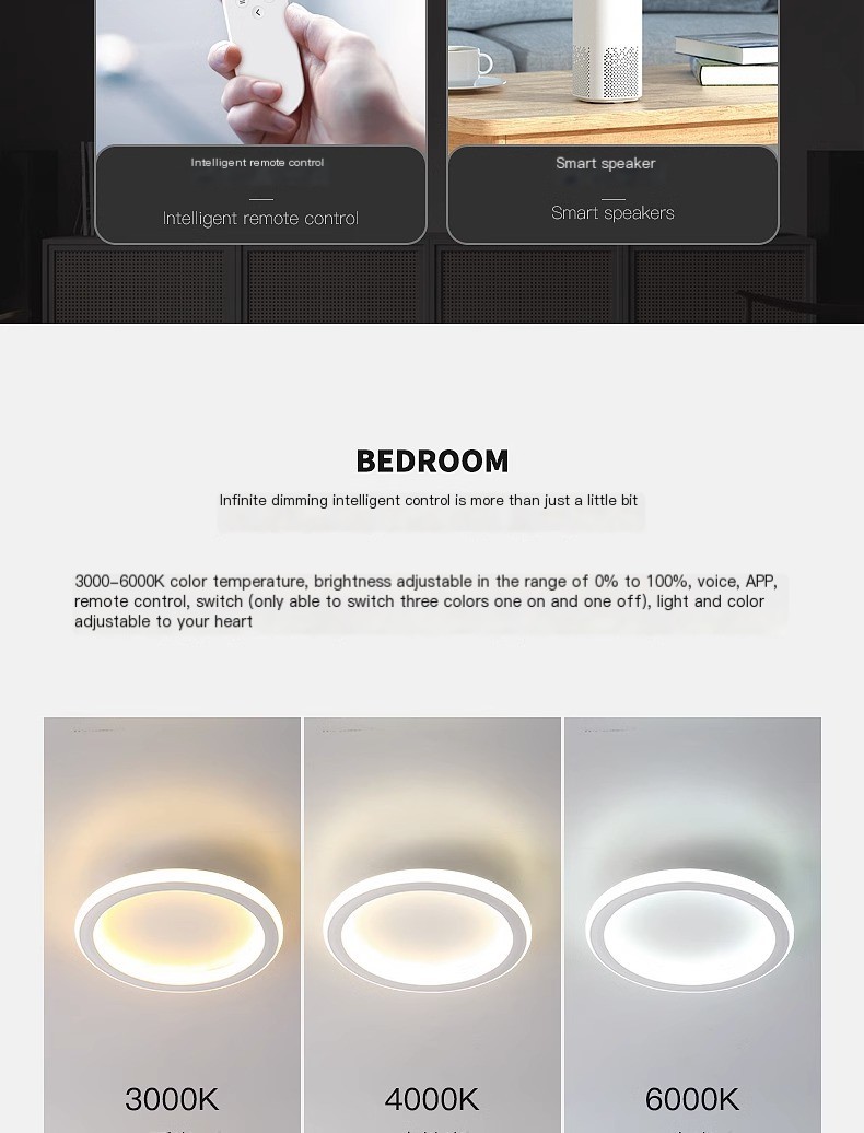 Ceiling Light 4