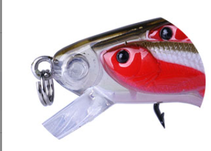 Fishing Bait Image 2