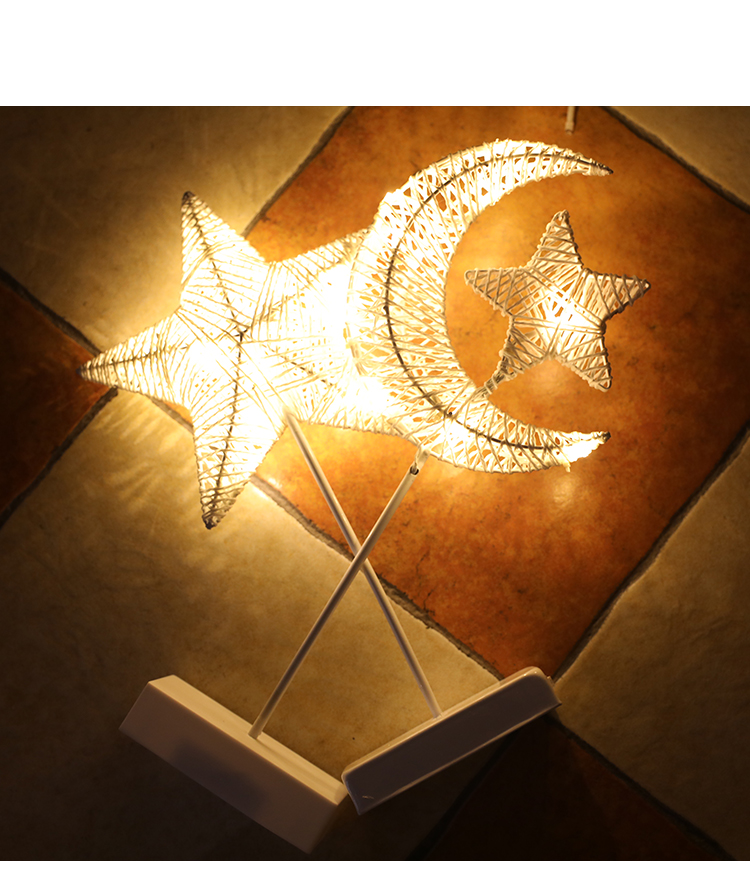 Handcrafted LED Decorative Light 3