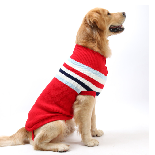 Golden Dog Clothes 2