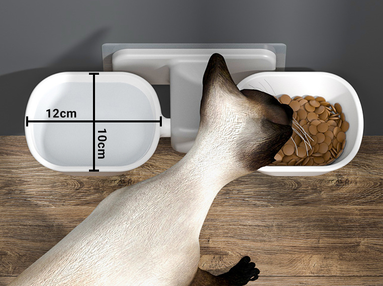 Cat Bowl Rack in Use