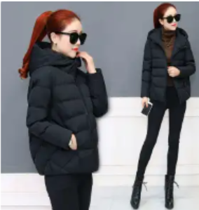 Glacier Women's Fleece Lined Winter Parka Jacket - Pantagonia image