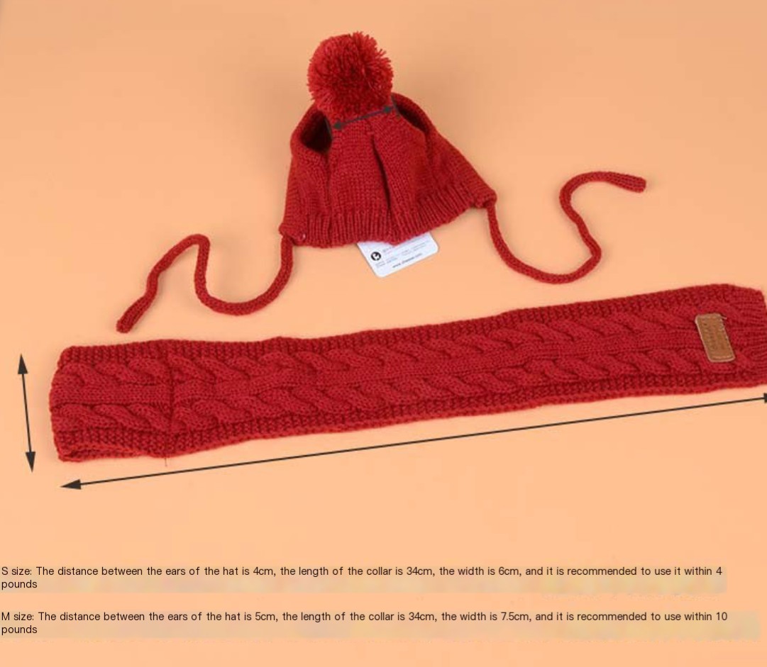 Pet Hat and Scarf Set