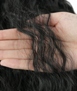 Ponytail Style Image 1