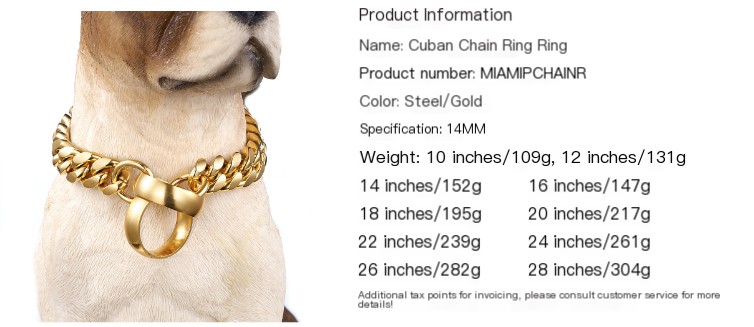 Chaîne pour chien en acier inoxydable 1