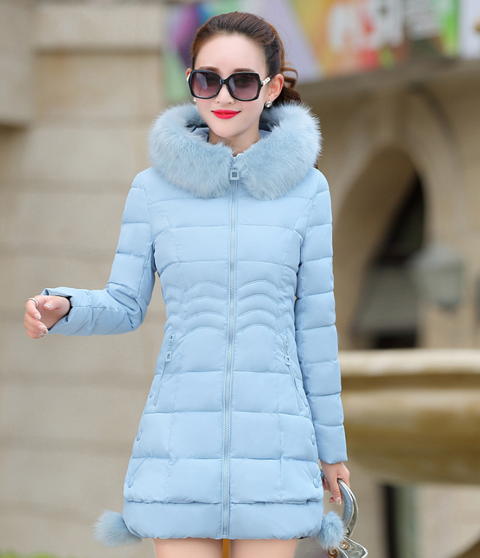 Winter Coat 2
