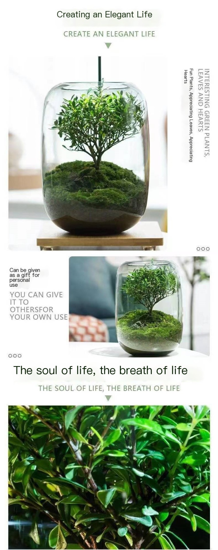 Eco Bottle Potted Flowers Image 1