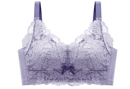 Lace Embroidered Bra Set Image 2