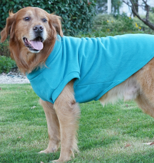 Pet Hoodie 1