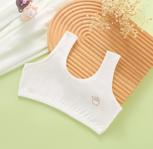 Bra Image 5