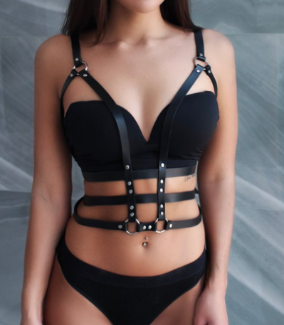 Leather Harness Image 2