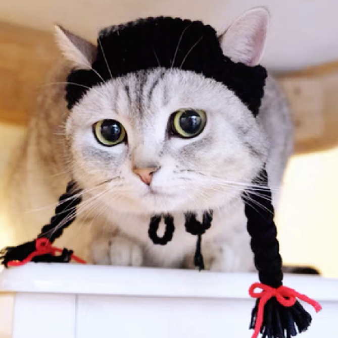 Cat Hat