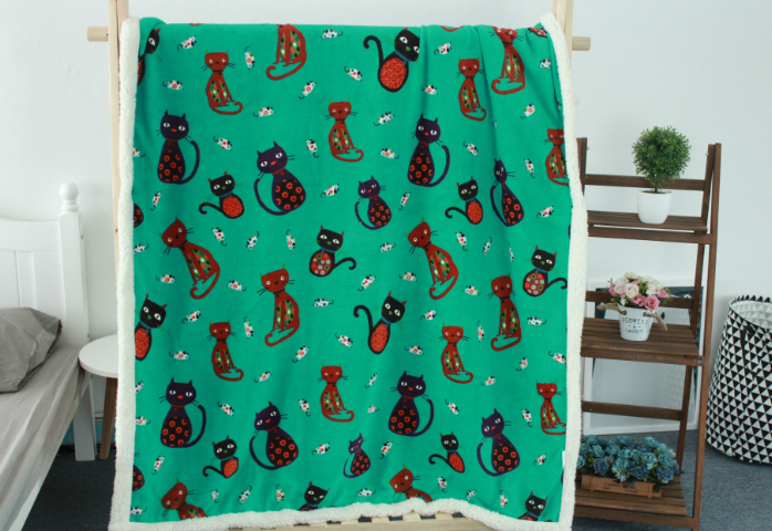 Cozy Coral Fleece Blanket