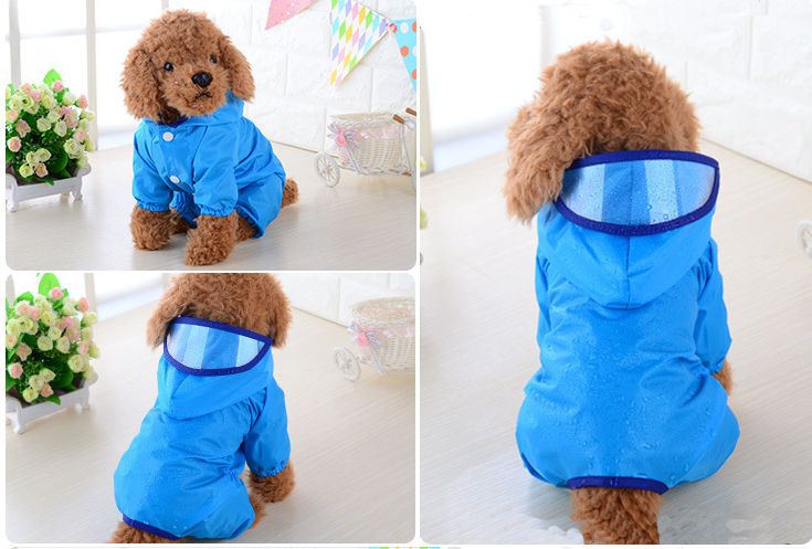 Pet Raincoat 2