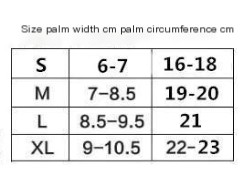 Fitness Gloves Image 1