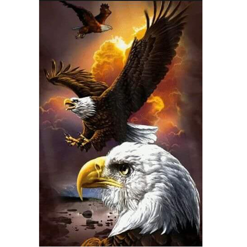 Diamond Painting Eagle Design