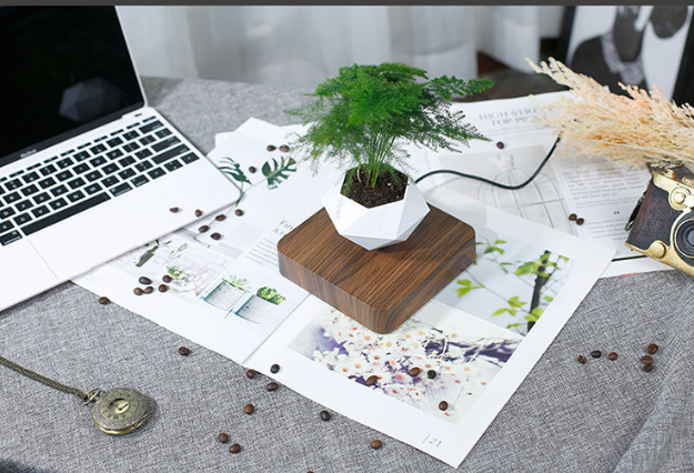 Magnetic Levitation Flowerpot 9