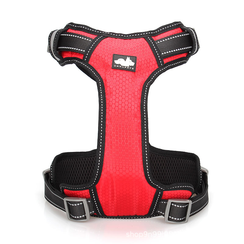 Comfortable Fit for Dogs